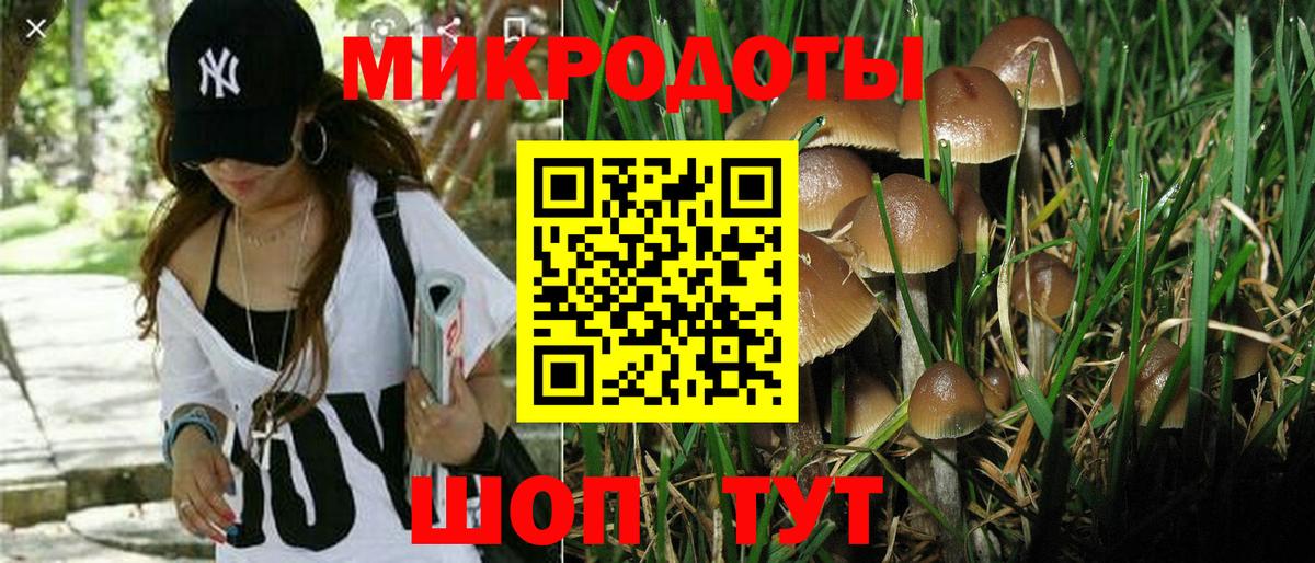 Галлюциногенные грибы MAGIC MUSHROOMS Добрянка