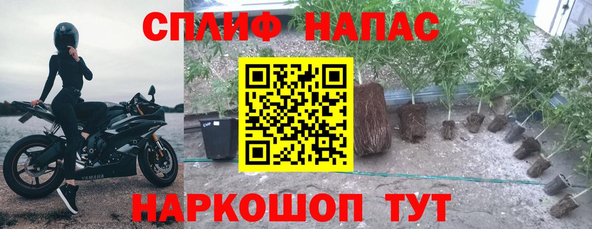 Бошки Шишки MAZAR  Канабис марихуана  Добрянка  Каннабис Amnesia  МАРИХУАНА OG Kush  Вход с VPN 